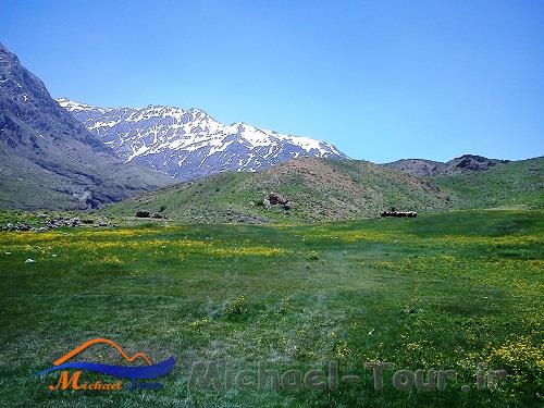 چمنزار مور سلطونی چمنزار مور سلطونی