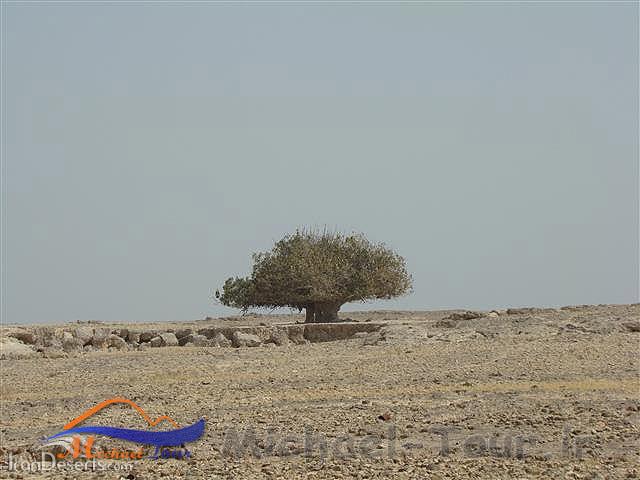 جزیره هندورابی جزیره هندورابی