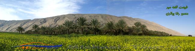 روستای قلعه سید