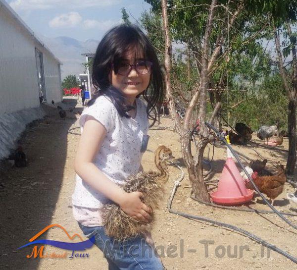 مزرعه گردشگری خورشید مزرعه گردشگری خورشید