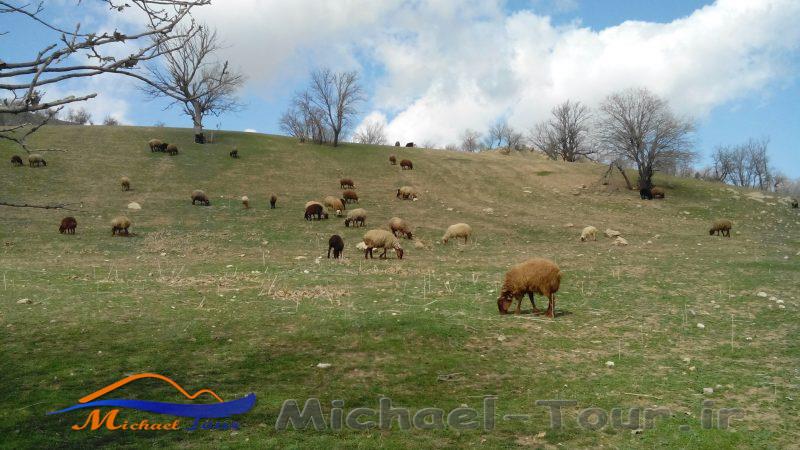 روستای یاره گله روستای یاره گله