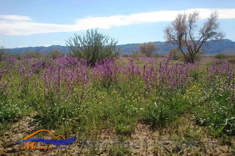 دیدنیهای بیرجند در بهار دیدنیهای بیرجند در بهار