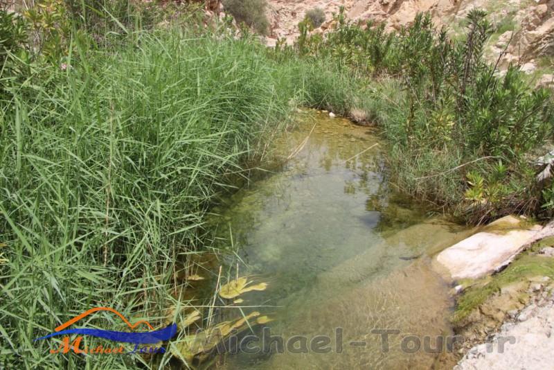 تنگ دِرهِه زاهدمحمود تنگ دِرهِه زاهدمحمود