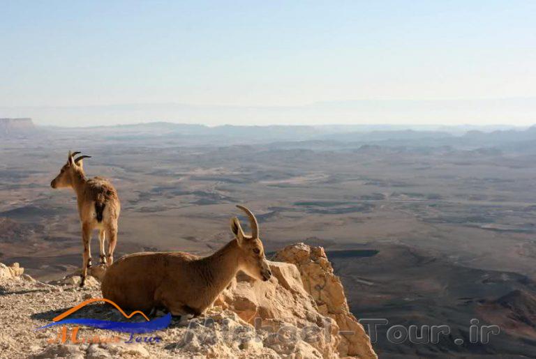 جاهای دیدنی چابهار در بهار