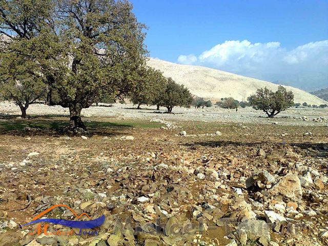 روستای كناره