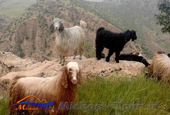 روستای زنجیره روستای زنجیره