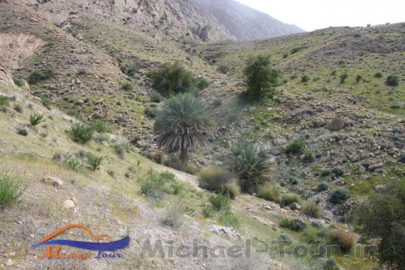 تنگ دِرهِه زاهدمحمود تنگ دِرهِه زاهدمحمود