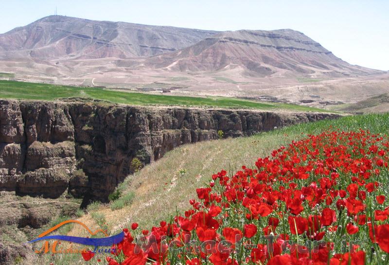 روستای قله زو کلات