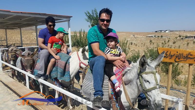 مزرعه گردشگری خورشید مزرعه گردشگری خورشید