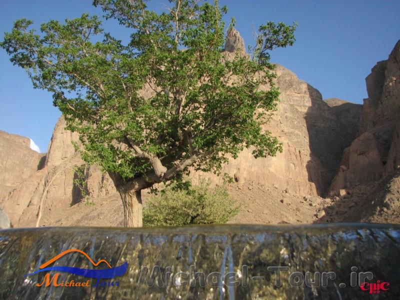 چشمه تامهر 