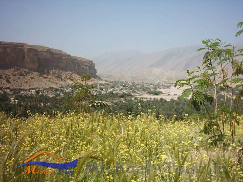 شهر رویدر 