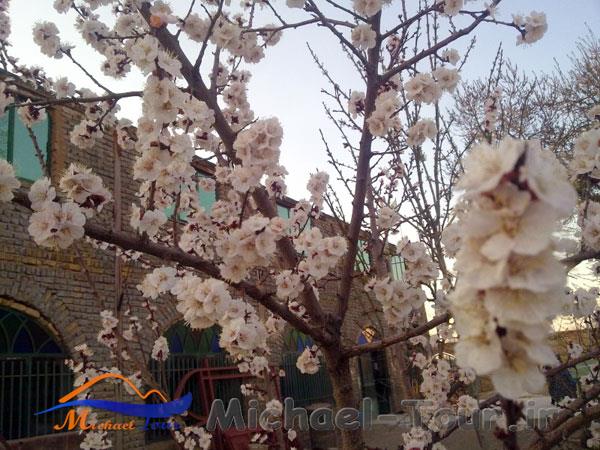 روستای سعید آباد روستای سعید آباد