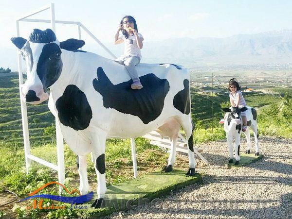 مزرعه گردشگری خورشید مزرعه گردشگری خورشید
