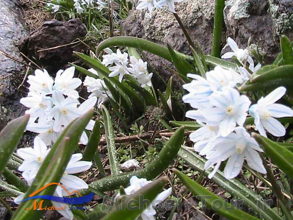 روستای مرزی پست کندی روستای مرزی پست کندی