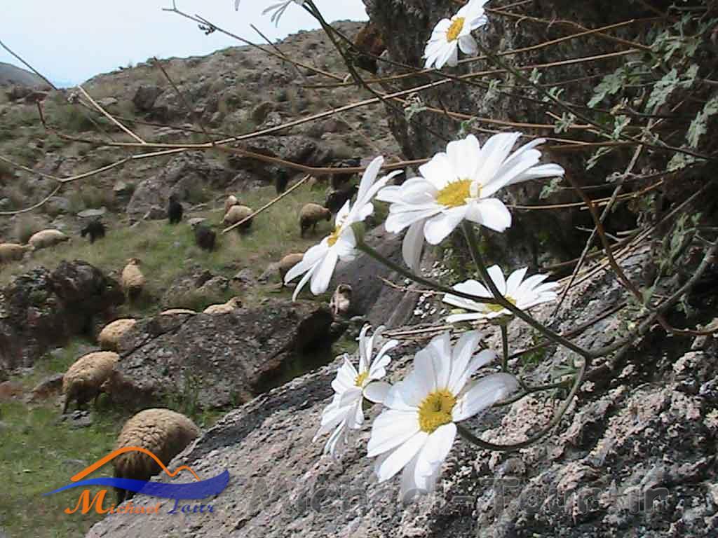 روستای مرزی پست کندی روستای مرزی پست کندی