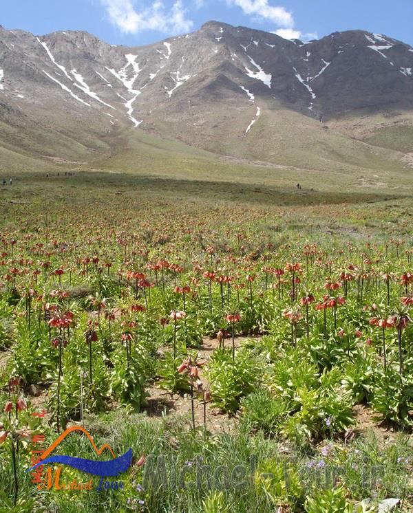 منطقه حفاظت شده گلستان کوه منطقه حفاظت شده گلستان کوه
