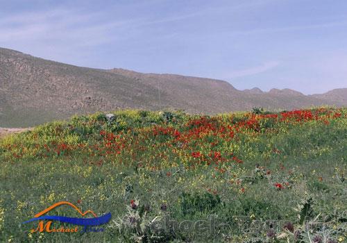 منطقه حفاظت شده هفتاد قله 