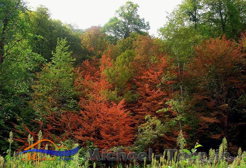 آبشار سیسنگان آبشار سیسنگان