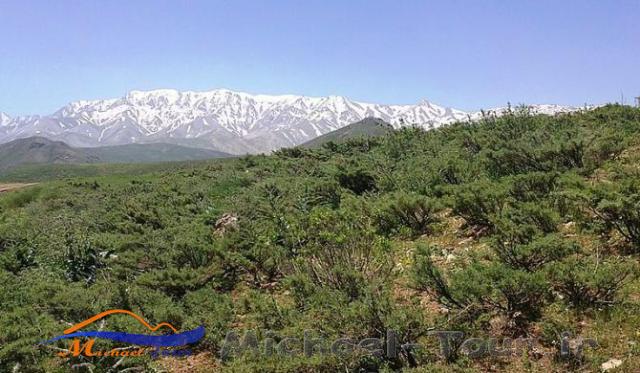 قالی کوه یا غالیه کوه