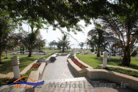 پارک زیتون قشم پارک زیتون قشم