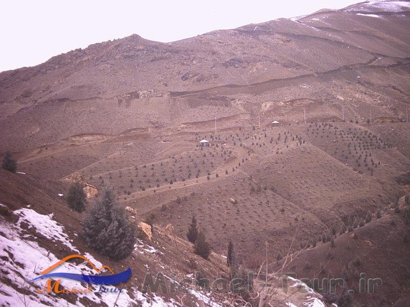 بوستان جنگلی کوهسار