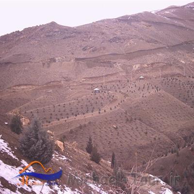 بوستان جنگلی کوهسار