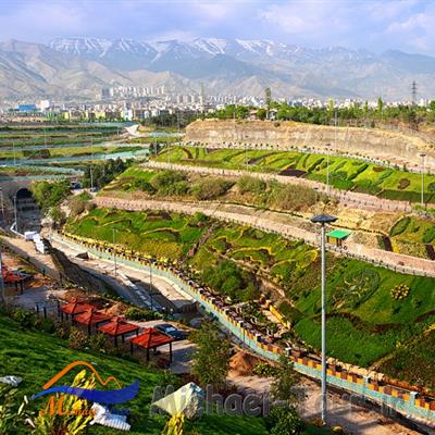 فاز ۲ بوستان نهج البلاغه