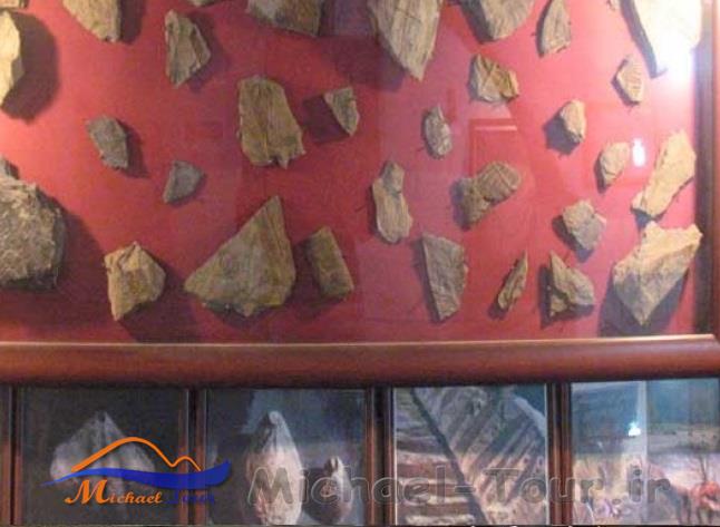 موزه دیرین شناسی موزه دیرین شناسی