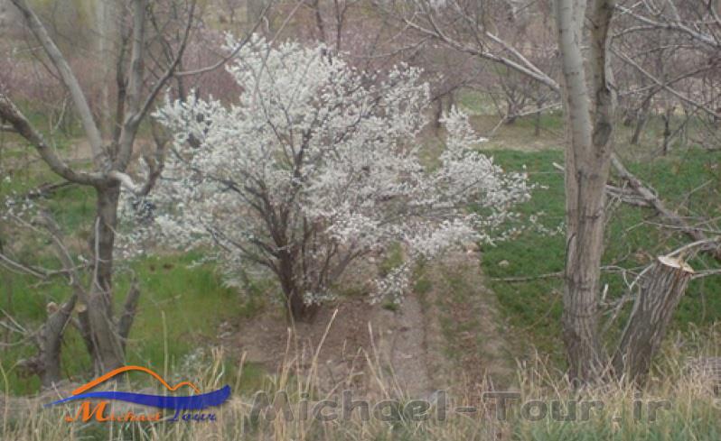 روستای خوشاب روستای خوشاب