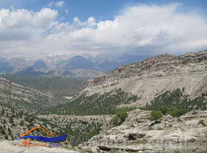 تنگ هونی