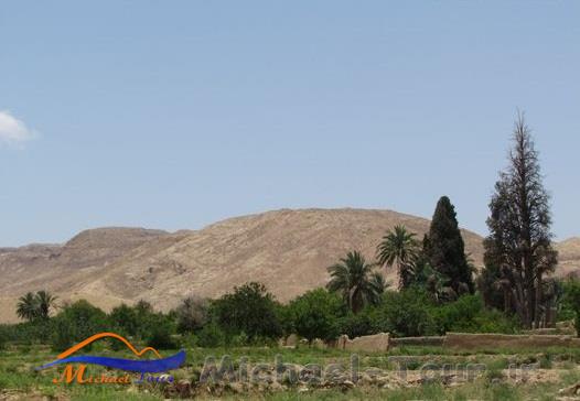 روستای اردیب
