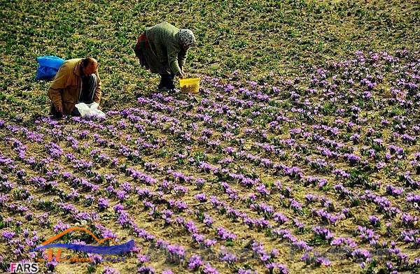 روستای وامنان روستای وامنان