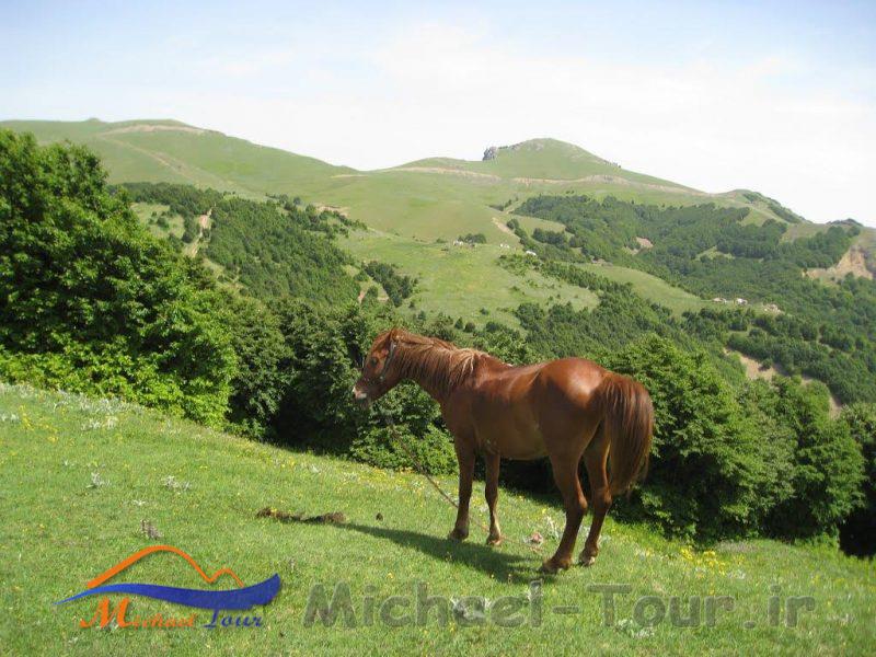 قله اسپیناس