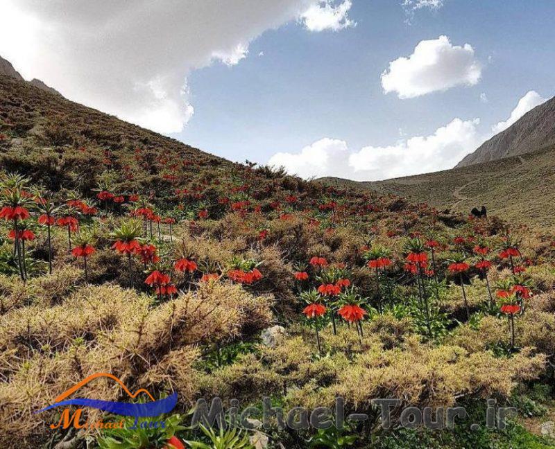 رستوران بوریتو خوانسار