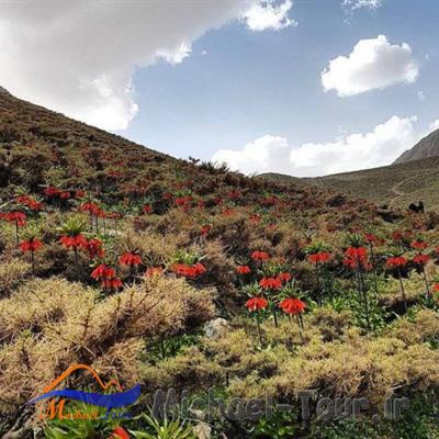 رستوران بوریتو خوانسار