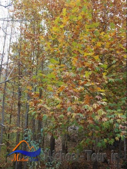 روستای گهوار گر
