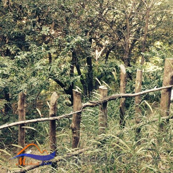 کافه رستوران دیپلمات تهران