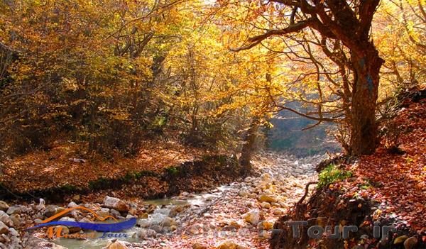 شهرستان بهشهر