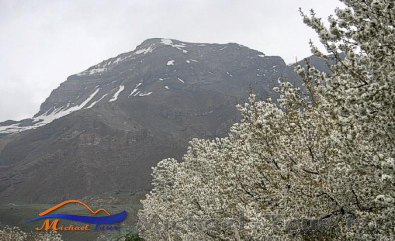 روستای افجه تهران