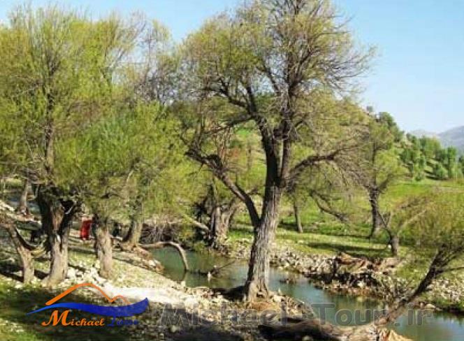 تنگ هونی