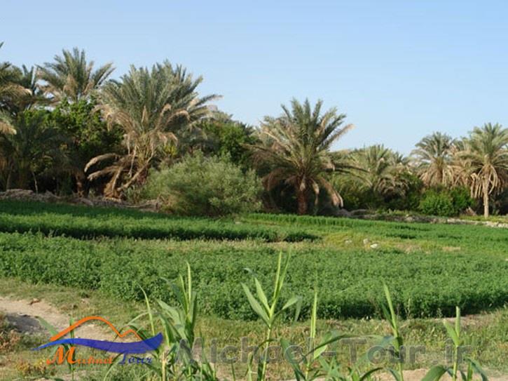 دهستان ناهوک دهستان ناهوک