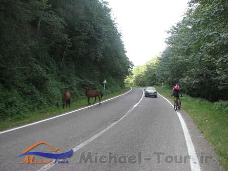 جاده اسالم به خلخال