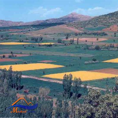دشت امیر آباد