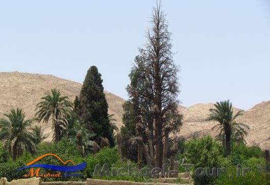 روستای اردیب