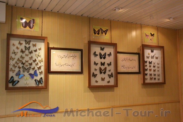 باغ موزه پروانه ها باغ موزه پروانه ها