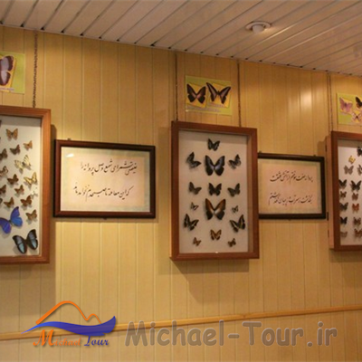 باغ موزه پروانه ها