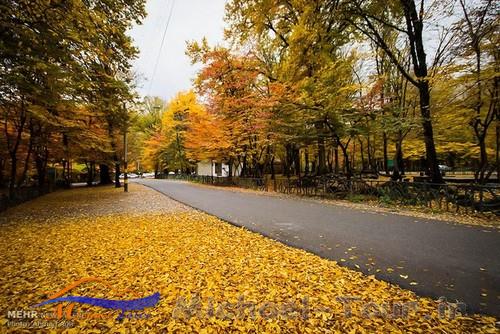 پارک جنگلی النگدره بهشت پاییزی گرگان