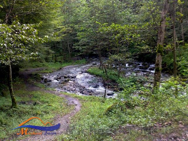 آبگرم فلکده