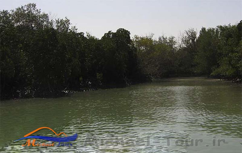 تالاب آذینی ( خور سیریک ) تالاب آذینی ( خور سیریک )