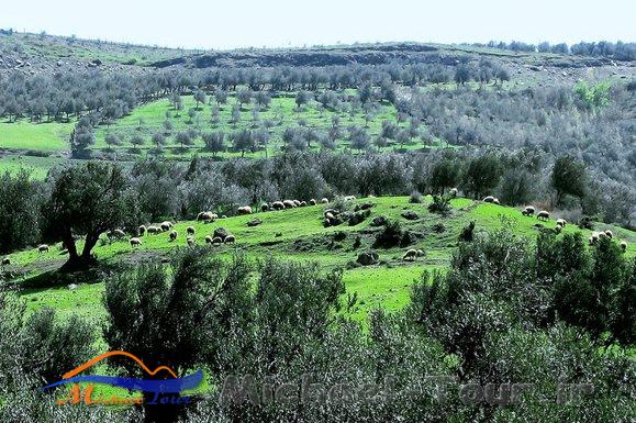 روستای كلشتر